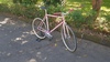 Anchor Bridgestone NJS Pink fade photo