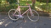 Anchor Bridgestone NJS Pink fade photo