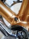 Anonymous Gold Trackbike photo