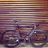 Another Lo Pro photo