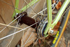 ANT Single Speed Cyclocross photo