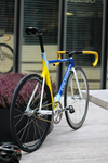 Antonov Ukraine national team colnago photo