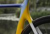 Antonov Ukraine national team colnago photo