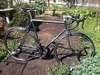 AR cycles Dura ace road photo