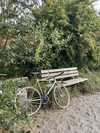 Ardently photo