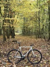 Ardently Silhuette Tracklocross photo Ardently Silhuette Tracklocross photo