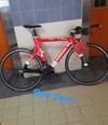 Argon 18 E112 (M, 54-56) photo