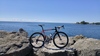 Argon 18 Gallium Pro Dura Ace (Mix) photo