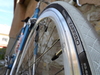 Atala-Soma photo