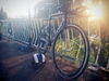 Avanti Pista EVO II team 2013 - "Holly" photo