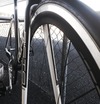 Avanti Pista EVO II team 2013 - "Holly" photo