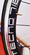 Avanti Pista EVO II team 2013 - "Holly" photo