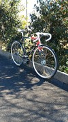 AVENTON ANDREAS size55 photo