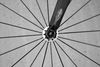 Aventon Mataro 2015 photo