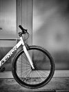 Aventon Mataro photo