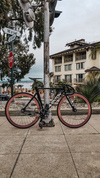 Aventon Mataro (Black Dahlia) photo