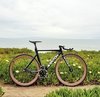 Aventon Mataro (Black Dahlia) photo