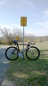 Aventon "Mataro Low" photo