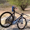 Aventon "Mataro Low" photo