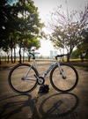 Aventon Mataro Low photo