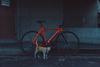 Aventon Mataro Low "Inferno" 2014 photo