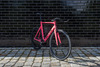 Aventon Mataro Pink photo