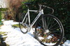 Aventon silver surfer photo