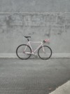 B. Carré Pursuit photo B. Carré Pursuit photo
