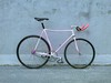 B. Carré Pursuit photo B. Carré Pursuit photo