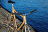 Bamboo track bike photo