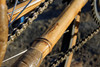 Bamboo track bike photo