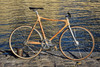 Bamboo track bike photo