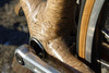 Bamboo track bike photo