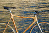 Bamboo track bike photo