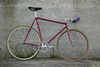 Custom Banani Pursuit Pista photo