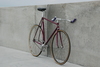 Custom Banani Pursuit Pista photo