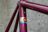 Custom Banani Pursuit Pista photo