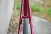Custom Banani Pursuit Pista photo