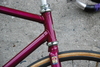 Custom Banani Pursuit Pista photo