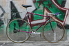 Custom Banani Pursuit Pista photo