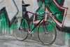 Custom Banani Pursuit Pista photo