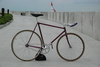 Custom Banani Pursuit Pista photo