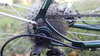 Bantam Bicycle Works Custom Randonneur photo