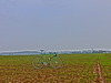 Bardini Pista photo