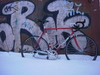 Basso photo