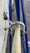 Sold - Basso (blue) photo
