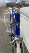 Sold - Basso (blue) photo