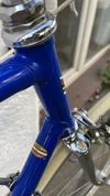 Sold - Basso (blue) photo