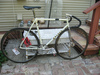 Basso Gap pista 1981 for sale photo