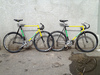 Basso Pista photo